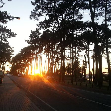 Cabedelo Beach House Viana do Castelo Eksteriør bilde