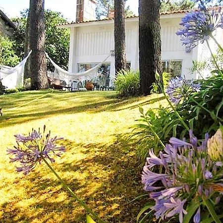 Cabedelo Beach House Viana do Castelo Eksteriør bilde